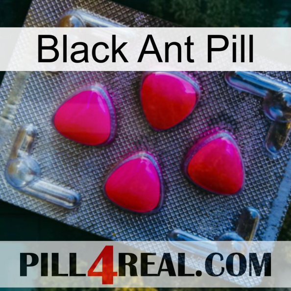 Black Ant Pill 13.jpg